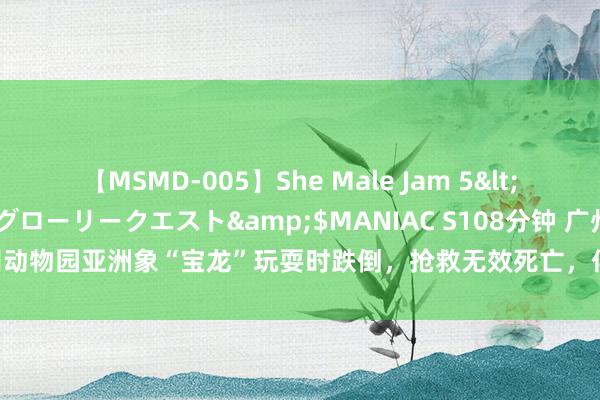【MSMD-005】She Male Jam 5</a>2008-08-04グローリークエスト&$MANIAC S108分钟 广州动物园亚洲象“宝龙”玩耍时跌倒，抢救无效死亡，伴随广州东说念主近半个世纪