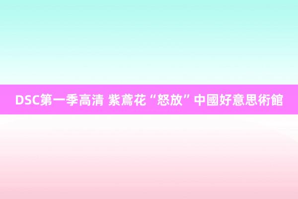 DSC第一季高清 紫鳶花“怒放”中國好意思術館