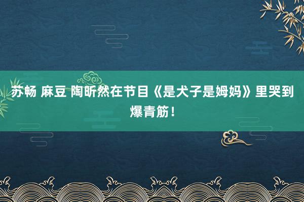 苏畅 麻豆 陶昕然在节目《是犬子是姆妈》里哭到爆青筋！