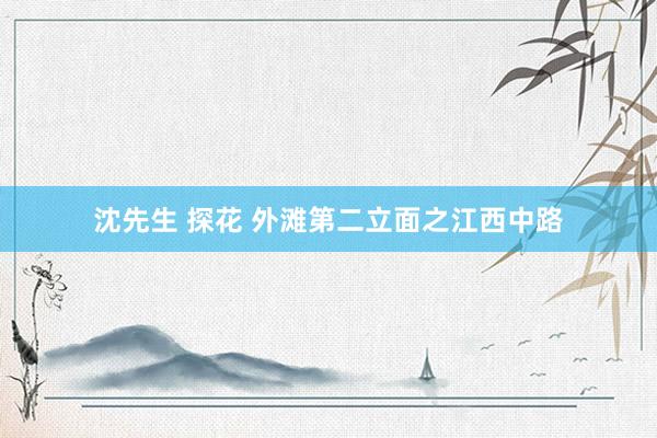 沈先生 探花 外滩第二立面之江西中路