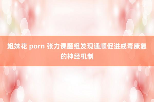 姐妹花 porn 张力课题组发现通顺促进戒毒康复的神经机制
