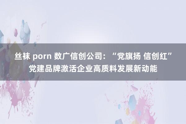 丝袜 porn 数广信创公司：“党旗扬 信创红”党建品牌激活企业高质料发展新动能