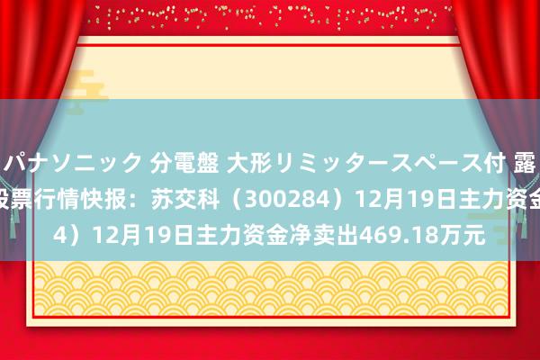 パナソニック 分電盤 大形リミッタースペース付 露出・半埋込両用形 股票行情快报：苏交科（300284）12月19日主力资金净卖出469.18万元