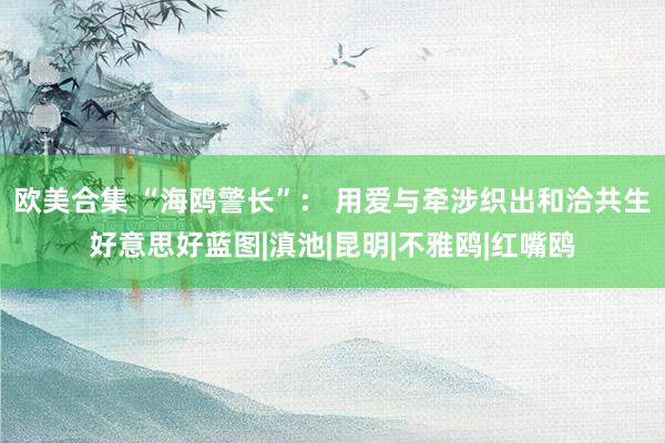 欧美合集 “海鸥警长”： 用爱与牵涉织出和洽共生好意思好蓝图|滇池|昆明|不雅鸥|红嘴鸥