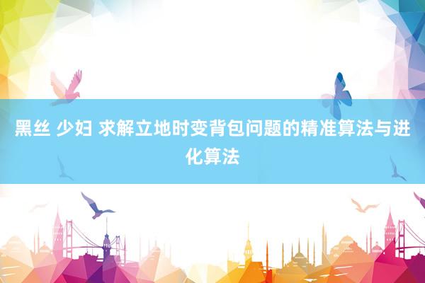 黑丝 少妇 求解立地时变背包问题的精准算法与进化算法