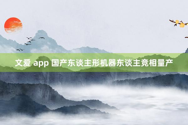 文爱 app 国产东谈主形机器东谈主竞相量产