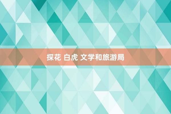 探花 白虎 文学和旅游局
