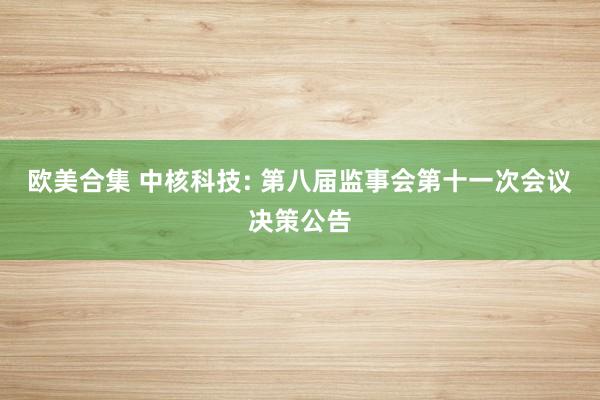 欧美合集 中核科技: 第八届监事会第十一次会议决策公告