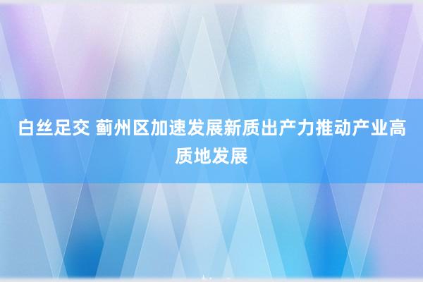 白丝足交 蓟州区加速发展新质出产力推动产业高质地发展