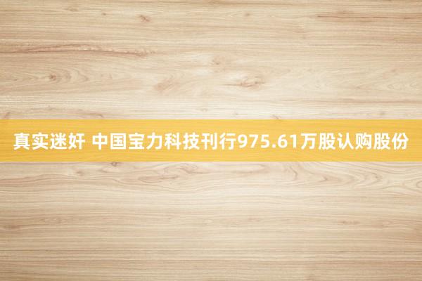 真实迷奸 中国宝力科技刊行975.61万股认购股份