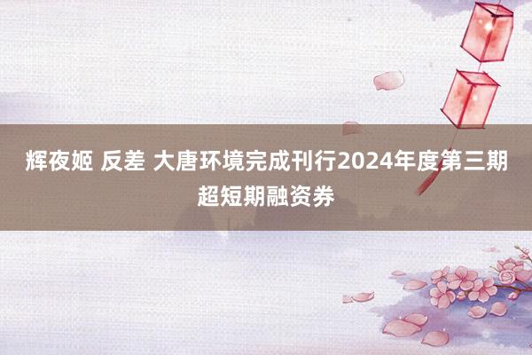 辉夜姬 反差 大唐环境完成刊行2024年度第三期超短期融资券