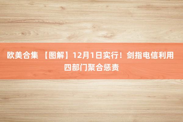 欧美合集 【图解】12月1日实行！剑指电信利用 四部门聚合惩责
