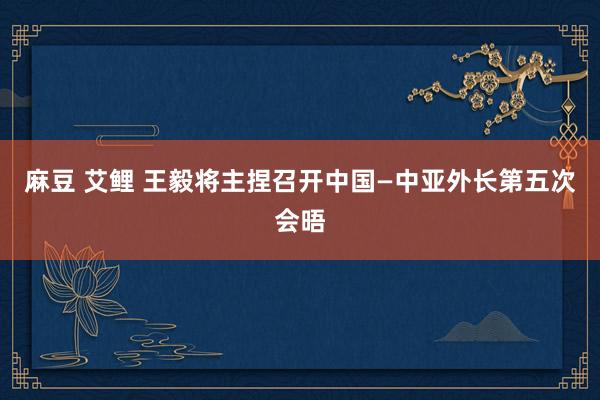 麻豆 艾鲤 王毅将主捏召开中国—中亚外长第五次会晤